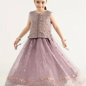 3 Piece Embroidered Poly Organza Suit | MKS-EA25-42/B