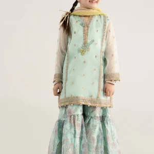 3 Piece Embroidered Poly Organza Suit | MKS-EA25-43